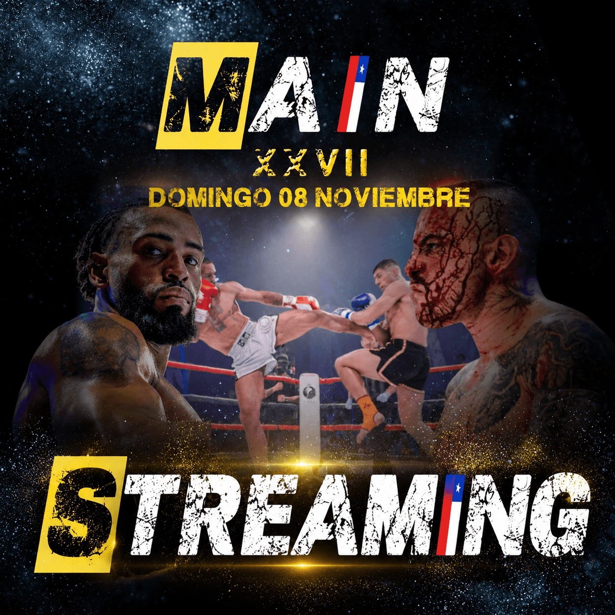 STREAMING MAIN CHILE XXVII